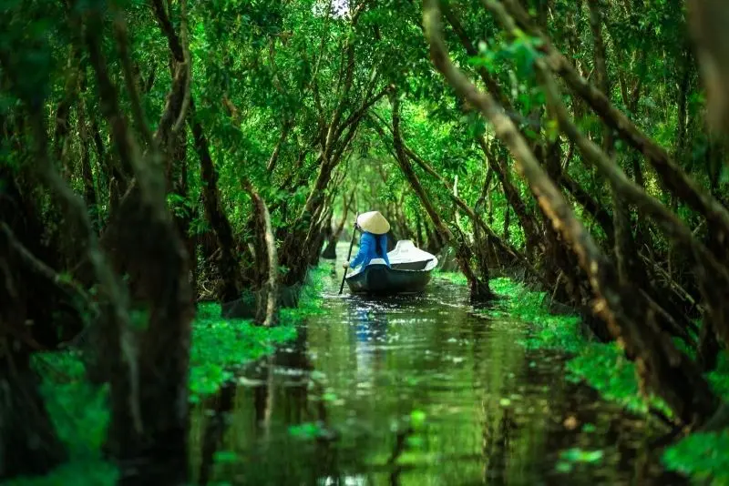 Vẻ đẹp thiên nhiên Việt Nam với nét mộc mạc và đơn sơ. Vẻ đẹp thiên nhiên Việt Nam với nét mộc mạc và đơn sơ.