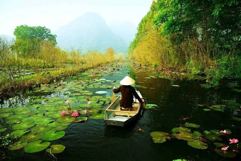 Thiên nhiên Việt Nam, từ bãi biển đến núi cao đầy mê hoặc. Thiên nhiên Việt Nam, từ bãi biển đến núi cao đầy mê hoặc.