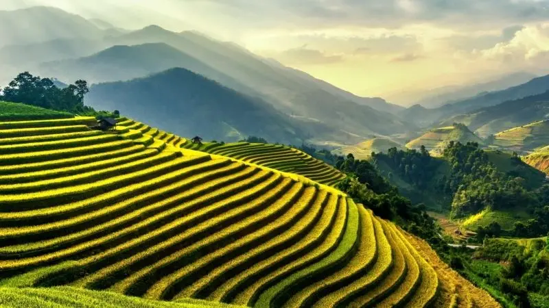 Khung cảnh thiên nhiên Việt Nam làm say đắm lòng người. Khung cảnh thiên nhiên Việt Nam làm say đắm lòng người.