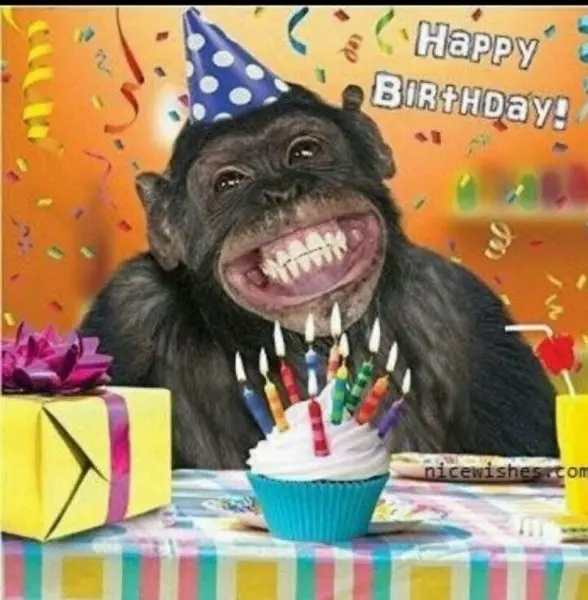 Happy birthday meme với những lời chúc độc đáo