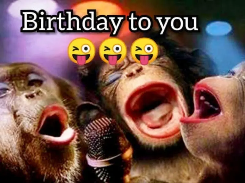 Happy birthday meme với những hình ảnh hài hước dễ thương