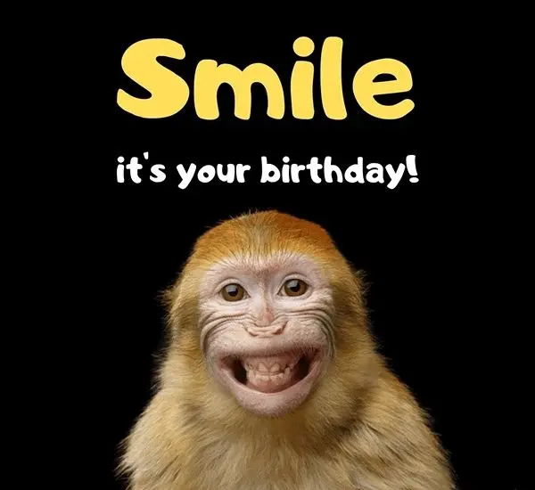 Happy birthday meme mang đến không gian vui nhộn cho bữa tiệc