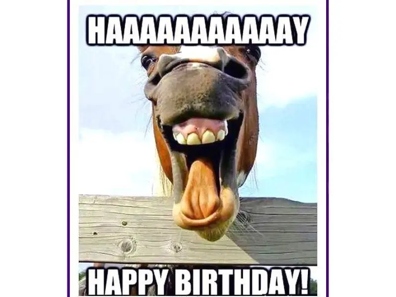 Happy birthday meme với lời chúc ngọt ngào khiến ai cũng vui vẻ