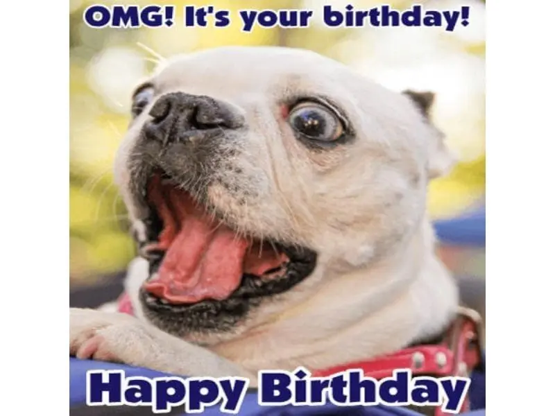 Happy birthday meme cho những ai thích sự sáng tạo và hài hước