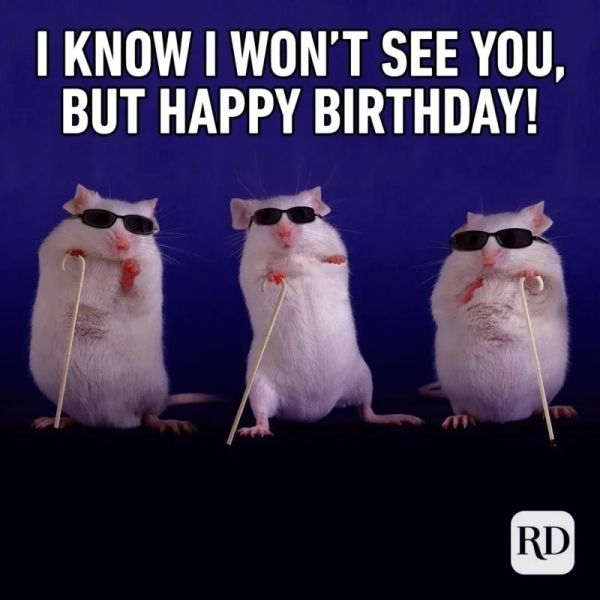 Happy birthday meme khiến cho không khí sinh nhật thêm sôi động
