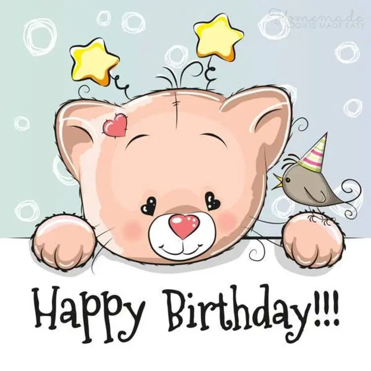 Happy birthday meme mang đến tiếng cười cho ngày sinh nhật