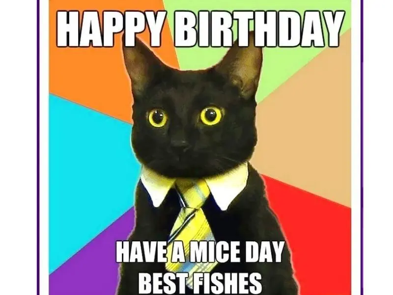 Happy birthday meme giúp bạn tạo bất ngờ cho người thân yêu