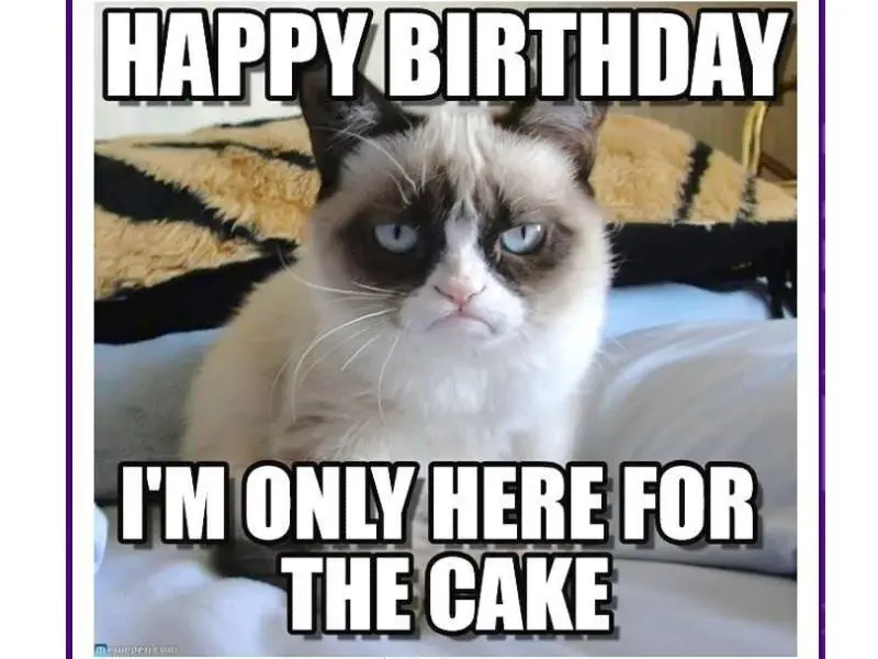 Happy birthday meme khiến ngày sinh nhật trở nên thú vị và đáng nhớ