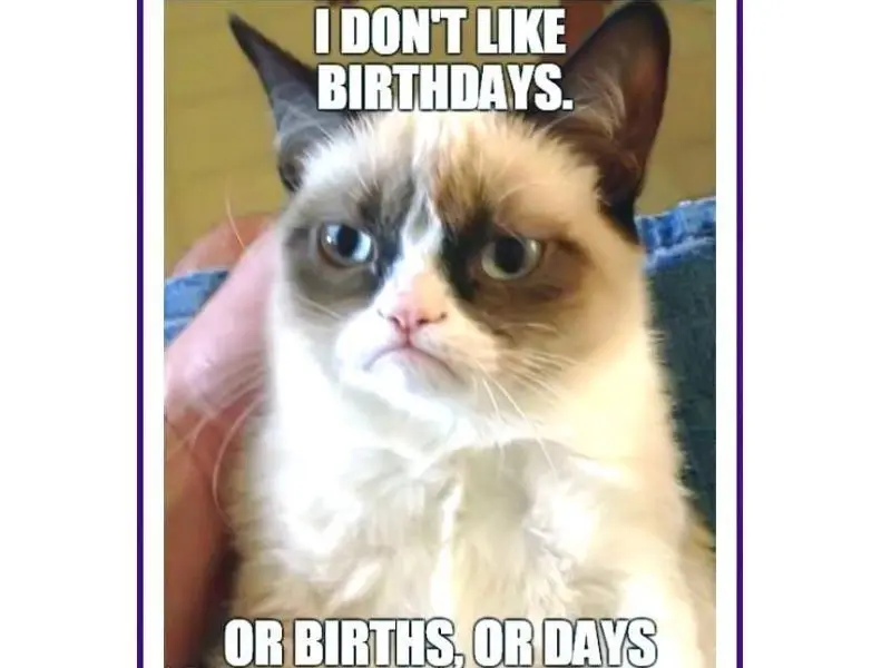 Happy birthday meme thể hiện sự vui nhộn qua những hình ảnh ngộ nghĩnh