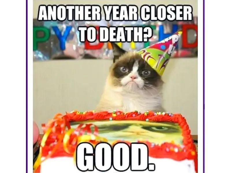 Happy birthday meme là lời chúc mừng đầy bất ngờ và thú vị