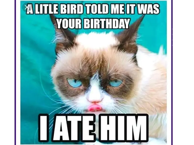 Happy birthday meme mang lại không khí nhẹ nhàng nhưng đầy vui nhộn