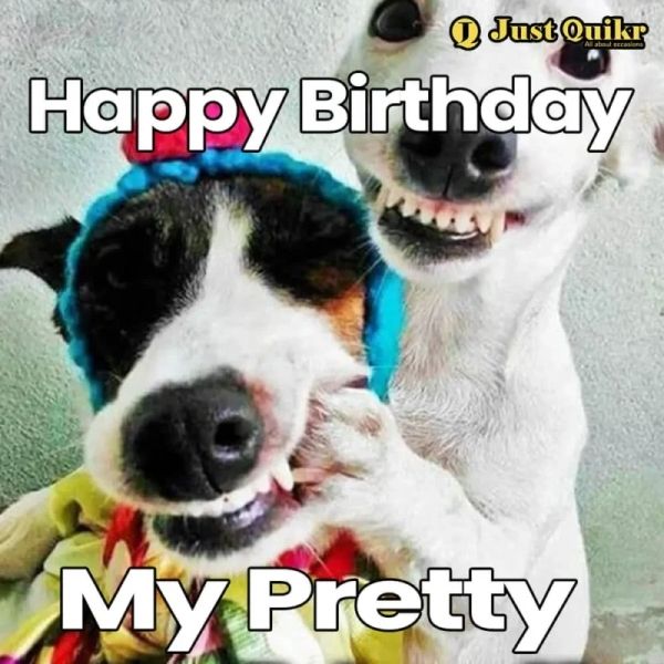 Happy birthday meme là món quà tinh thần tuyệt vời cho ngày sinh nhật