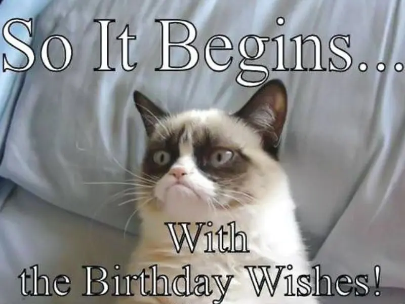 Happy birthday meme thể hiện sự hài hước và vui nhộn trong lời chúc