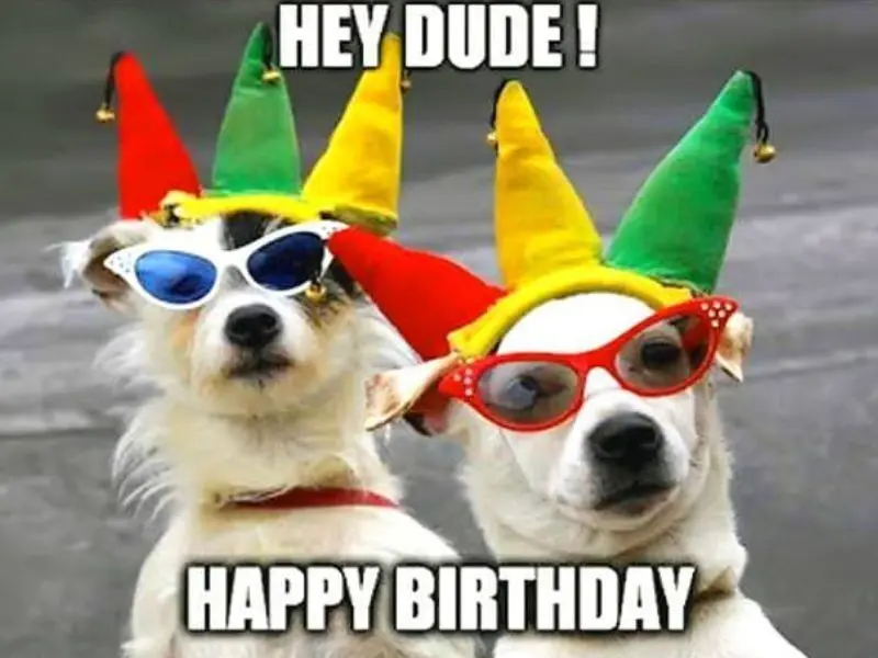 Happy birthday meme là sự kết hợp hoàn hảo giữa hài hước và tình cảm