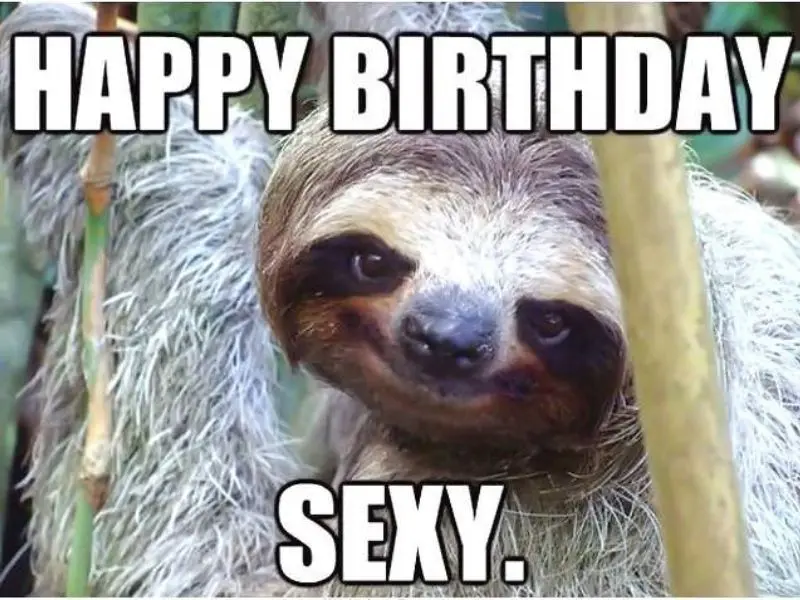 Happy birthday meme mang đến những khoảnh khắc hài hước đầy bất ngờ