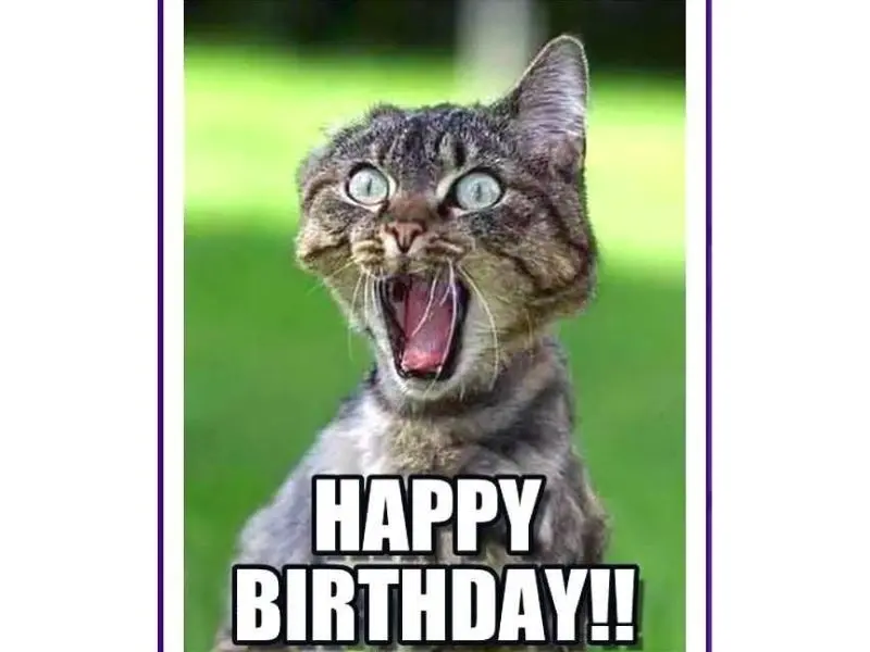 Happy birthday meme là một cách tuyệt vời để thể hiện tình cảm