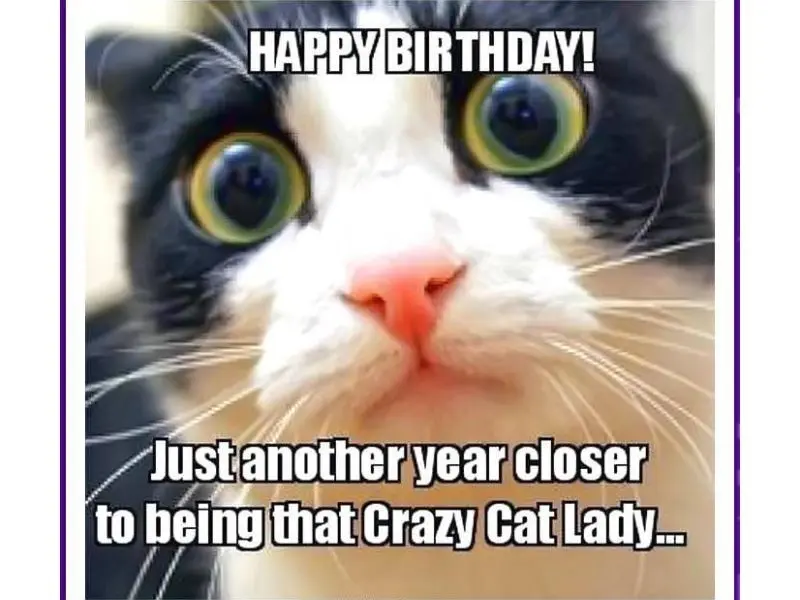 Happy birthday meme là sự kết hợp giữa sự vui nhộn và tình bạn