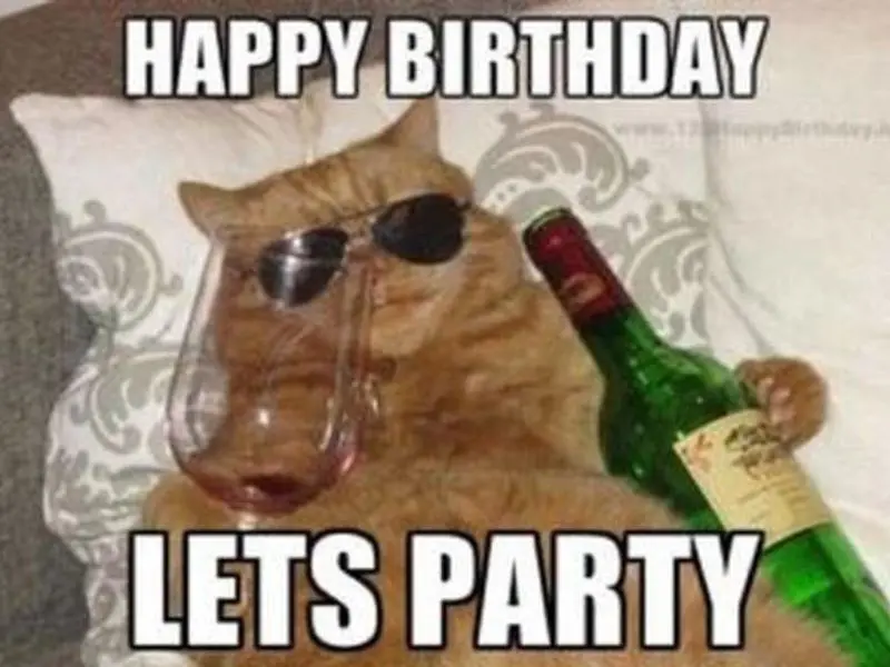 Happy birthday meme với những hình ảnh hài hước làm sinh nhật thêm vui