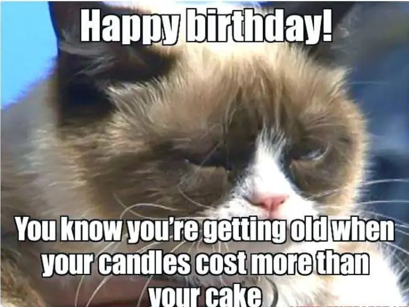Happy birthday meme mang lại tiếng cười và niềm vui trong ngày sinh nhật