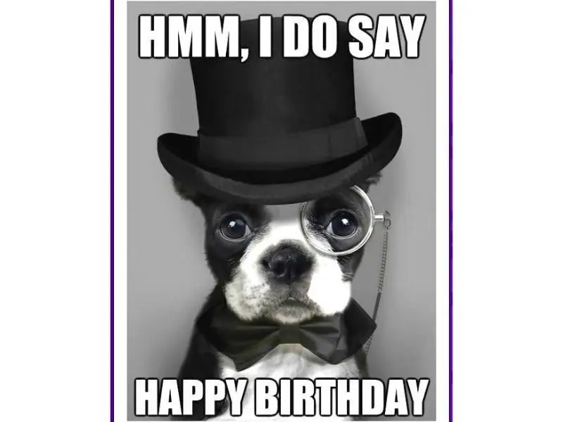 Happy birthday meme tạo ra những khoảnh khắc vui vẻ và đáng nhớ