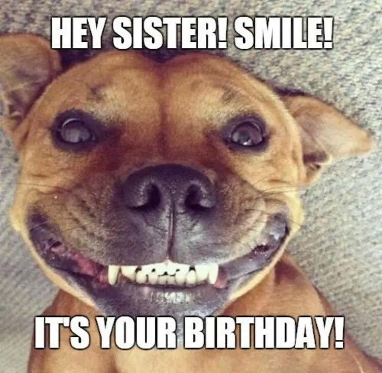 Happy birthday meme làm cho buổi tiệc sinh nhật thêm phần sinh động