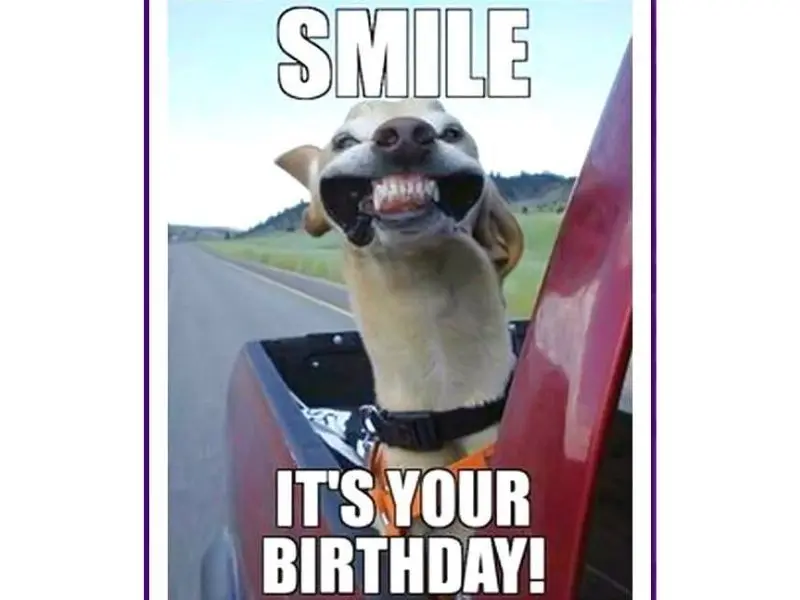 Happy birthday meme vui nhộn là cách chúc mừng sinh nhật sáng tạo