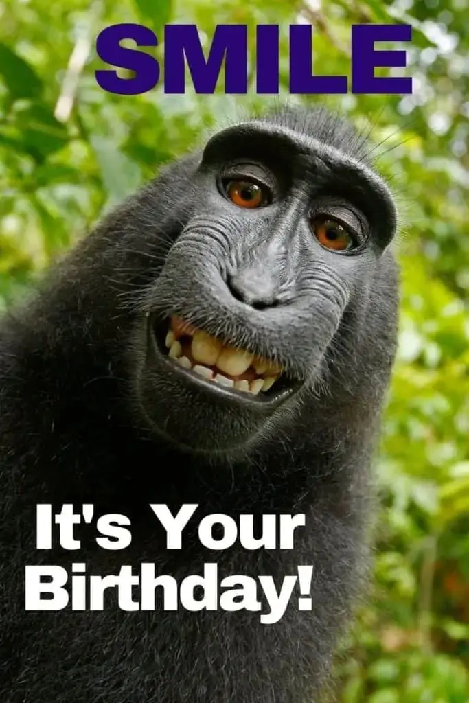Happy birthday meme giúp không khí sinh nhật trở nên vui vẻ