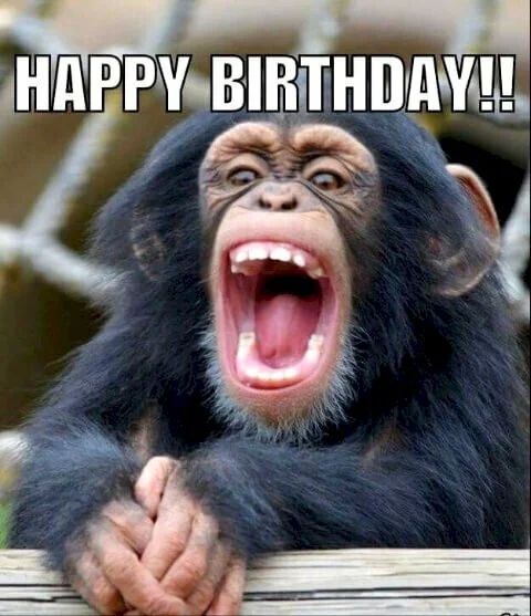Happy birthday meme với hình ảnh dễ thương khiến ngày sinh nhật đặc biệt hơn