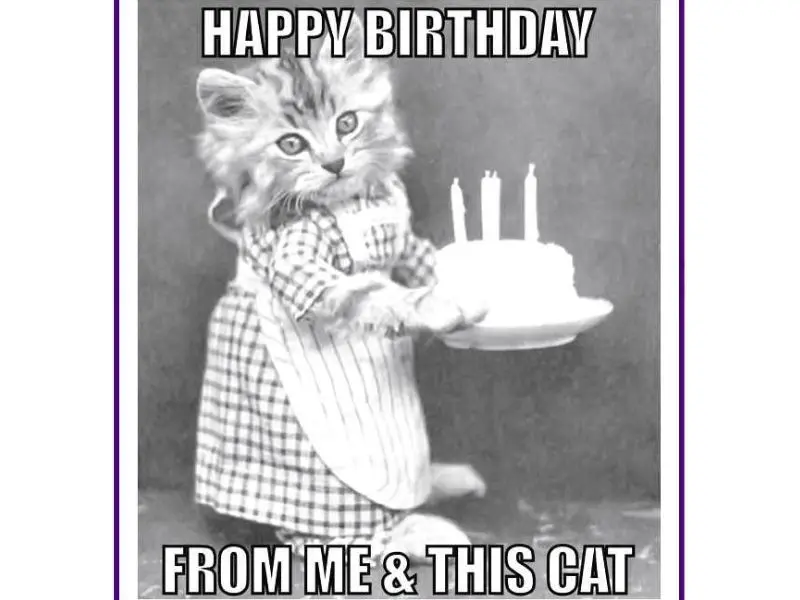 Happy birthday meme vui vẻ cho người yêu thích sự hài hước