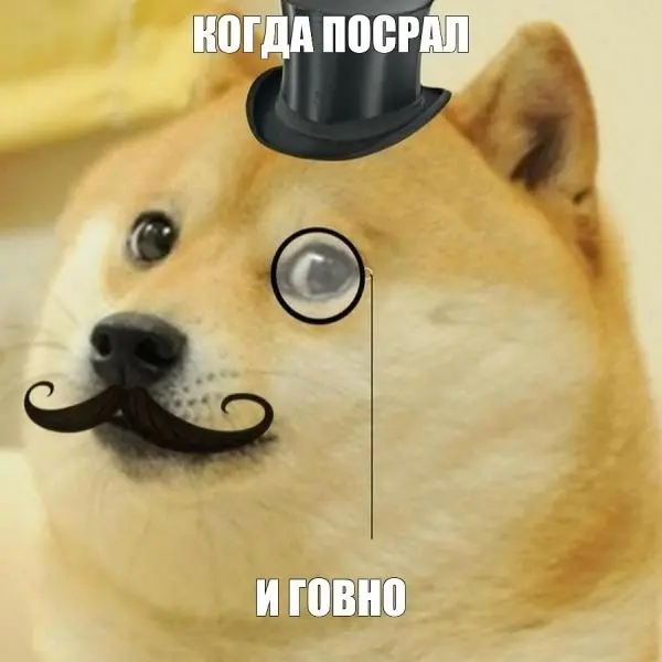 Meme dog quý ông hài hước