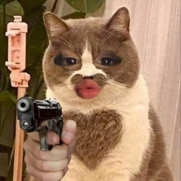 Meme mèo cầm súng chu môi hài hước