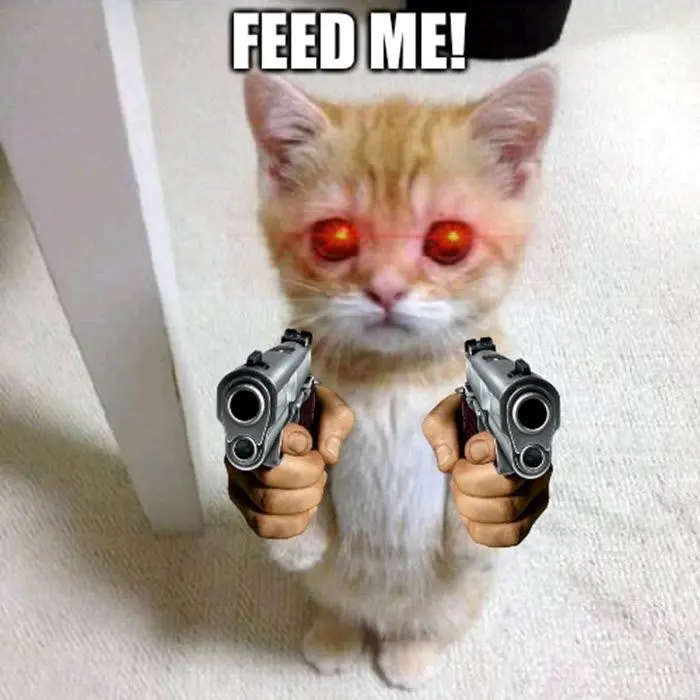 Meme cầm súng với đôi mắt nghiêm túc