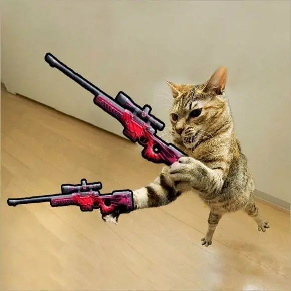 Meme cầm súng với gương mặt quyết tâm