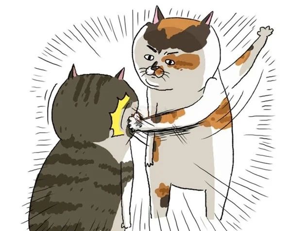 Meme tát hài hước lan truyền mạnh mẽ