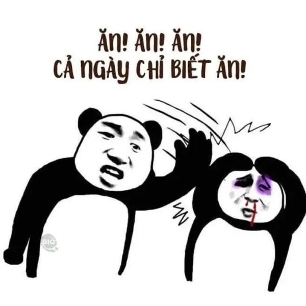 Meme tát cả ngày chỉ biết ăn hài hước