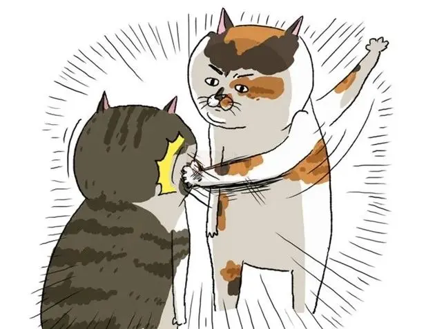 Meme mèo tát độc đáo và hài hước
