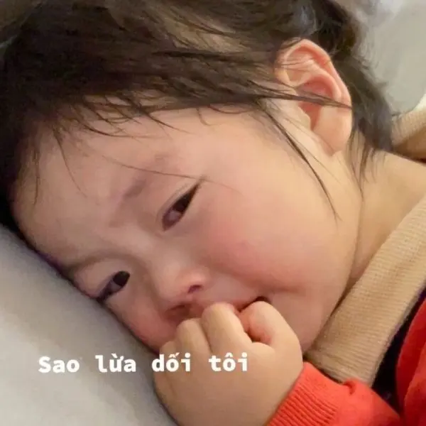 Meme em bé khiến mọi người phải thốt lên "quá dễ thương"