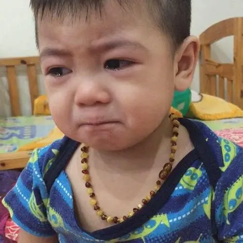 Meme em bé với ánh mắt ngây thơ tạo nên sự dễ thương tuyệt đối
