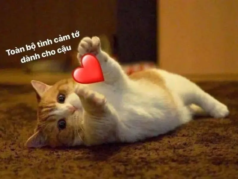 Meme tình yêu lan truyền mạnh mẽ