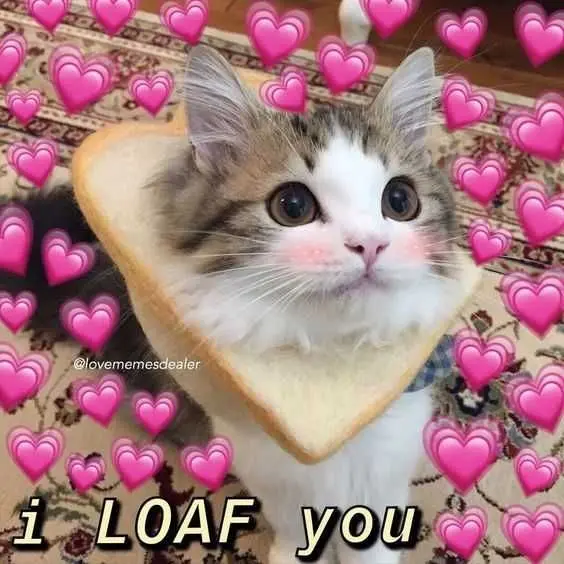 Meme tình yêu với biểu cảm sinh động