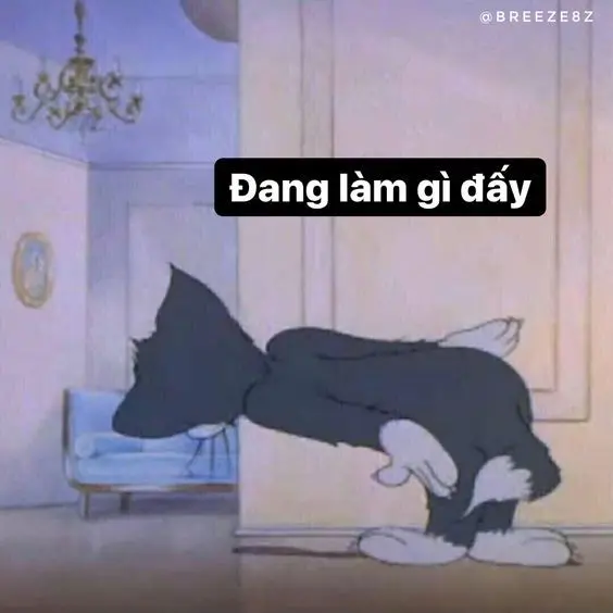 Meme tình yêu làm nổi bật nét đáng yêu