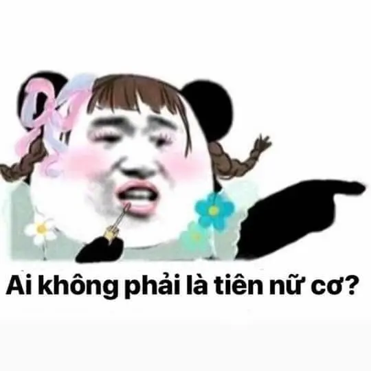 Meme tiên nữ chỉ tay hài hước