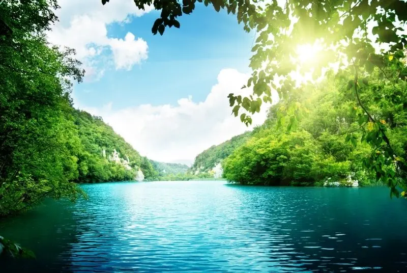 Bình minh yên bình trên nền phong cảnh thiên nhiên tươi đẹp.
