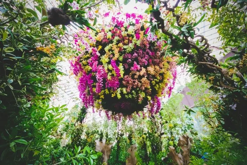 Mỗi đóa hoa lan trong khu vườn đẹp đều mang nét độc đáo riêng. Mỗi đóa hoa lan trong khu vườn đẹp đều mang nét độc đáo riêng.