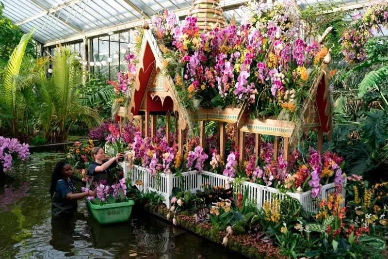 Vườn hoa lan đẹp, nơi bạn có thể lạc vào không gian của mùi hương và màu sắc. Vườn hoa lan đẹp, nơi bạn có thể lạc vào không gian của mùi hương và màu sắc.
