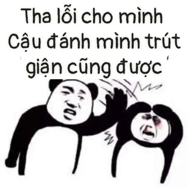 Meme xin lỗi khiến ai cũng bật cười