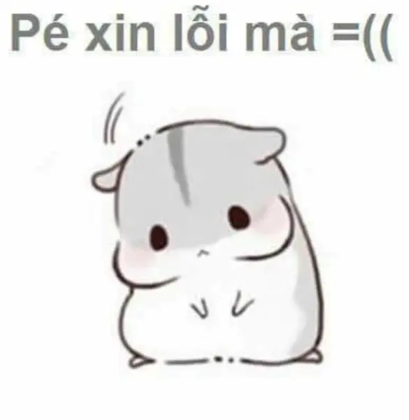 Meme xin lỗi cực kỳ đáng yêu