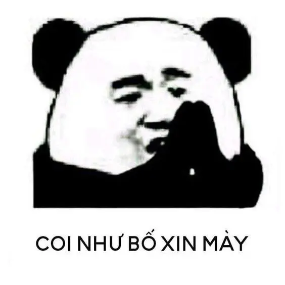 Meme xin lỗi chân thành và hài hước