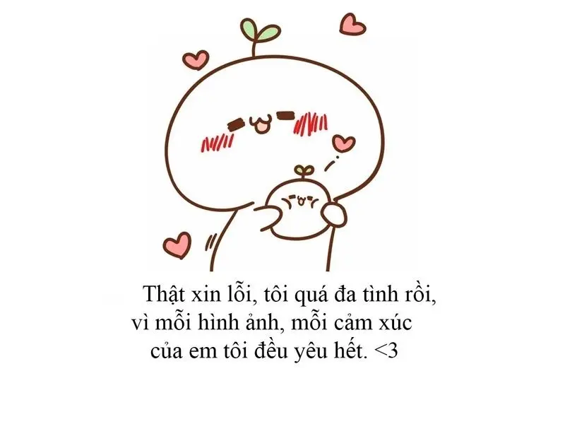 Meme xin lỗi thay lời muốn nói