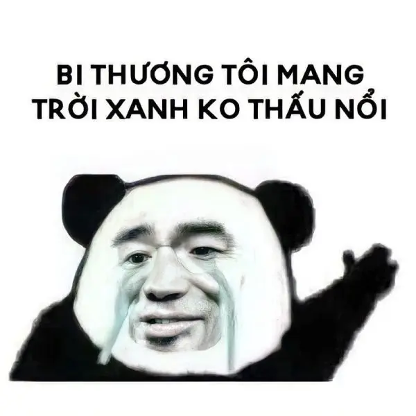 Meme xin lỗi giúp phá băng tình huống
